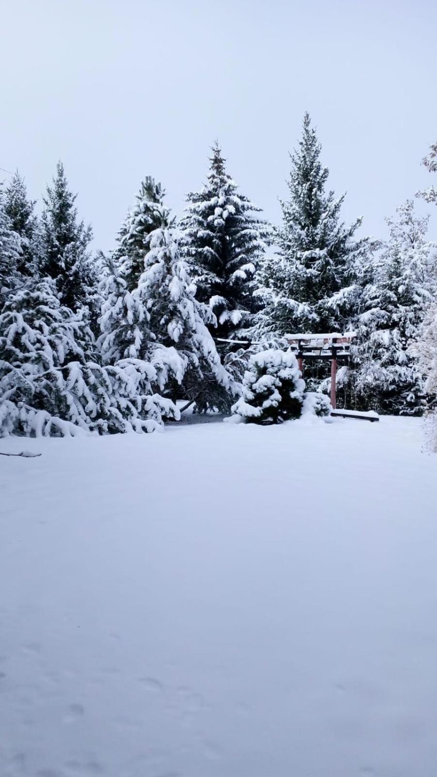 Отель Горный Родник Besqaynar Exteriér fotografie